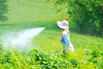 Pesticide